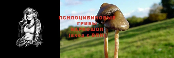 герыч Новокубанск