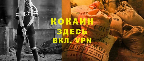 дживик Гатчина