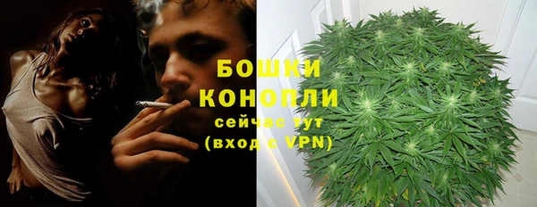 эйфоретик Новозыбков