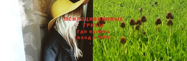 МДМА Новодвинск