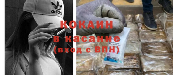 спайс Гвардейск